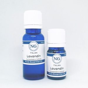 Lavandin Italian