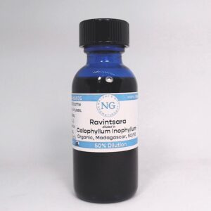 Ravintsara in Calophyllum