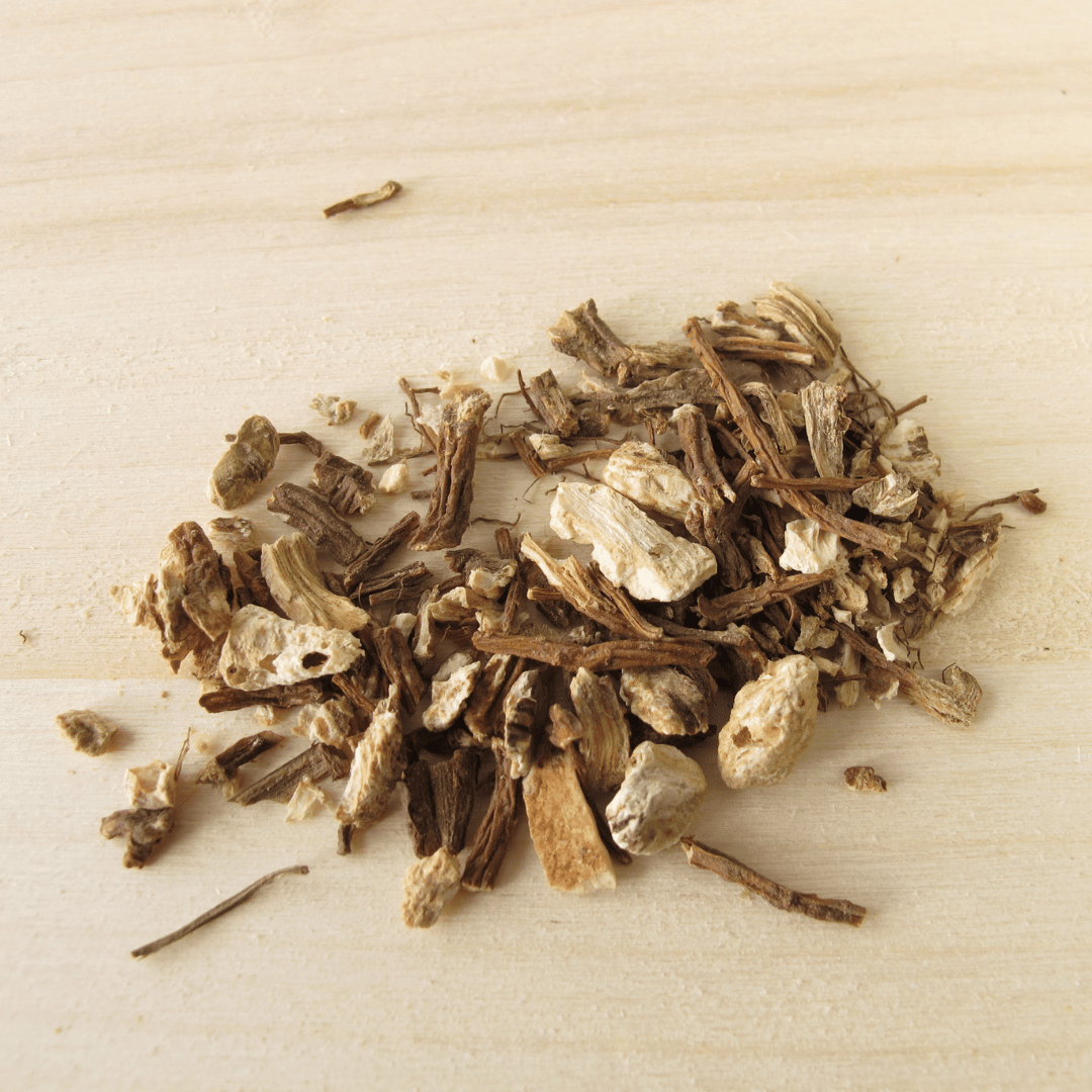 Angelica Root