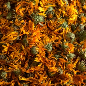 Calendula Total CO2