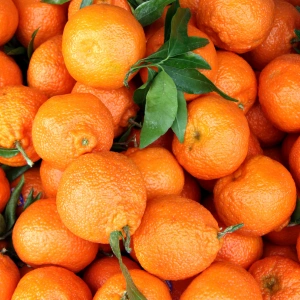 Clementine