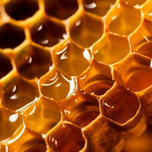 Beeswax Absolute, 10% Dilution