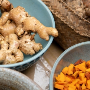 JavaneseTurmeric-plant.jpg