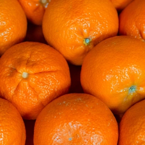 Orange, Sweet