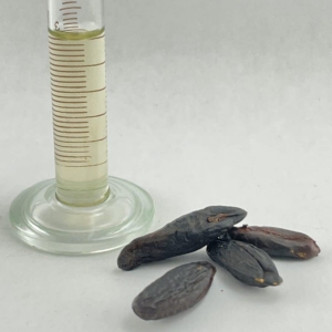 Tonka Bean Infused Oil