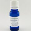 Juniper Berry