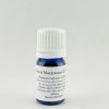 Sweet Marjoram