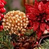 Holiday Joy Synergy . Festive gold ornament with red poinsettia, holly, and pine needles